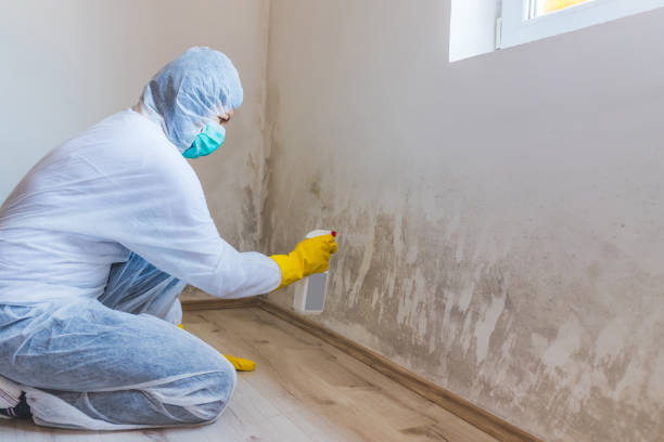 Mold Remediation specialist working in Pennsylvania Furnace